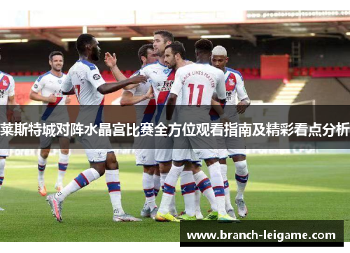 莱斯特城对阵水晶宫比赛全方位观看指南及精彩看点分析