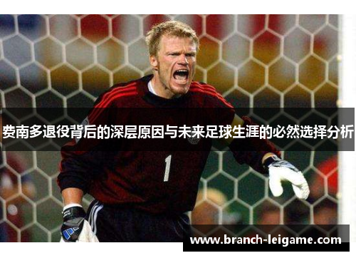 费南多退役背后的深层原因与未来足球生涯的必然选择分析