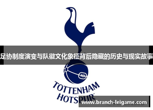 足协制度演变与队徽文化象征背后隐藏的历史与现实故事